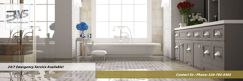 Better Way Services Inc