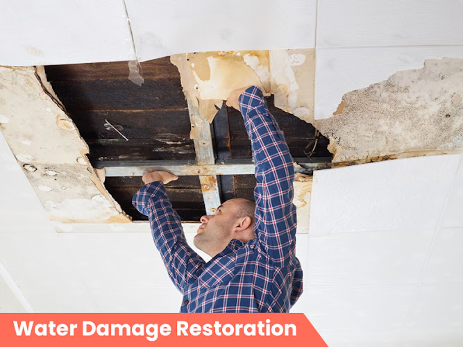 Shimiyi Water Damage Systems