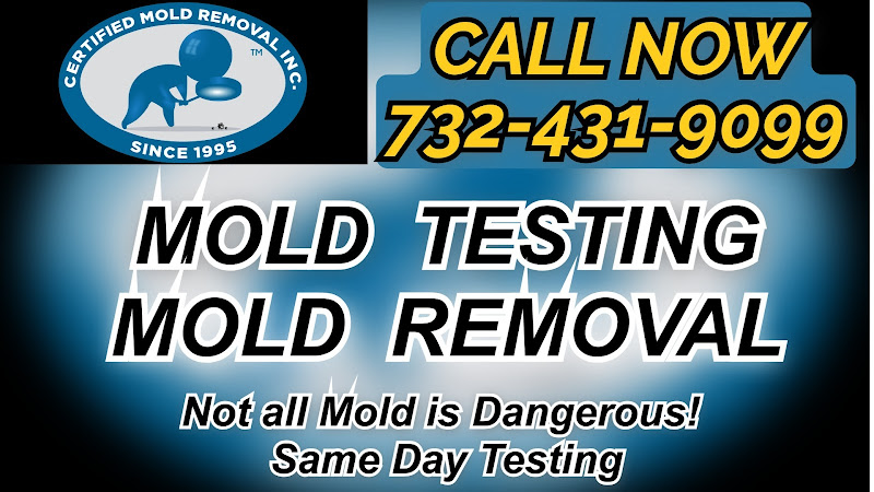 Certified Mold Removal Inc.
