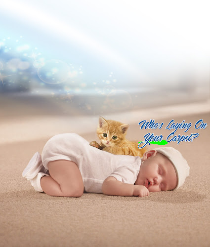 Beaty & Sons Services