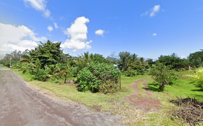 AXION Clean Mold Remediation