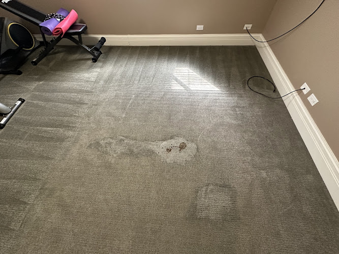 Carpet Cleaners Plus