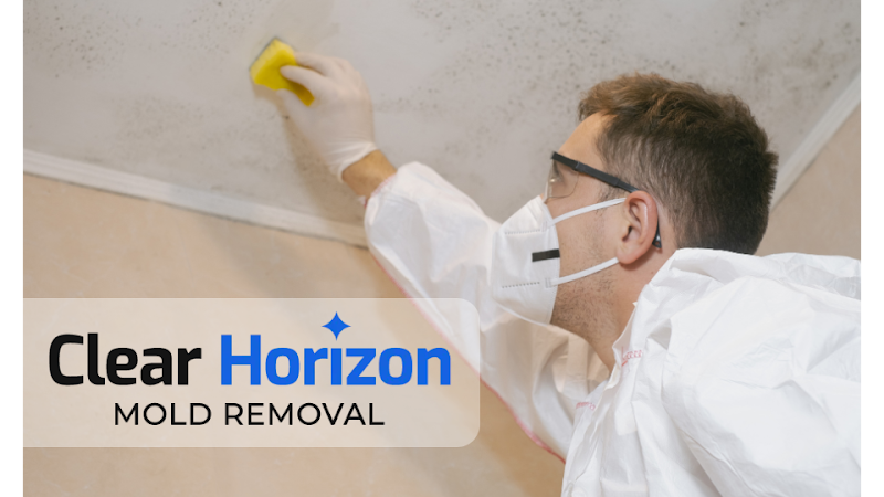 Clear Horizon Mold Removal