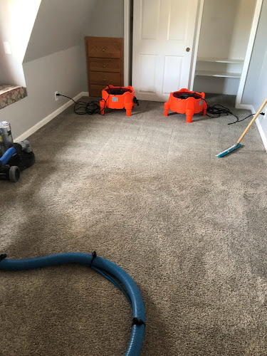 Pro Steam Carpet & Upholstery Cleaning