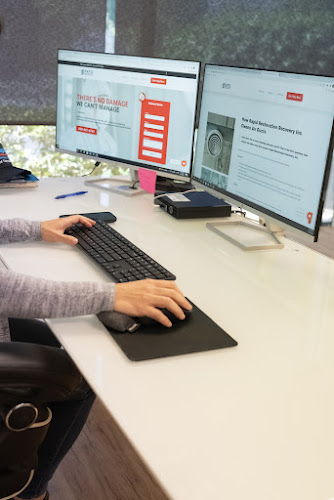 Rapid Mold Remediation & Restoration