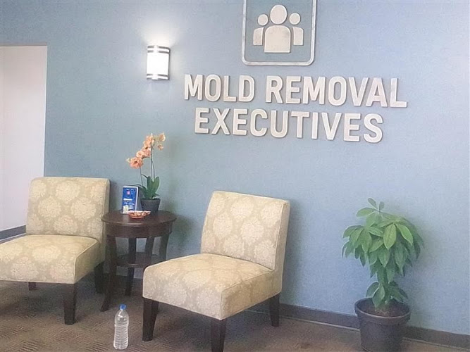 Mold Removal Executives - El Paso