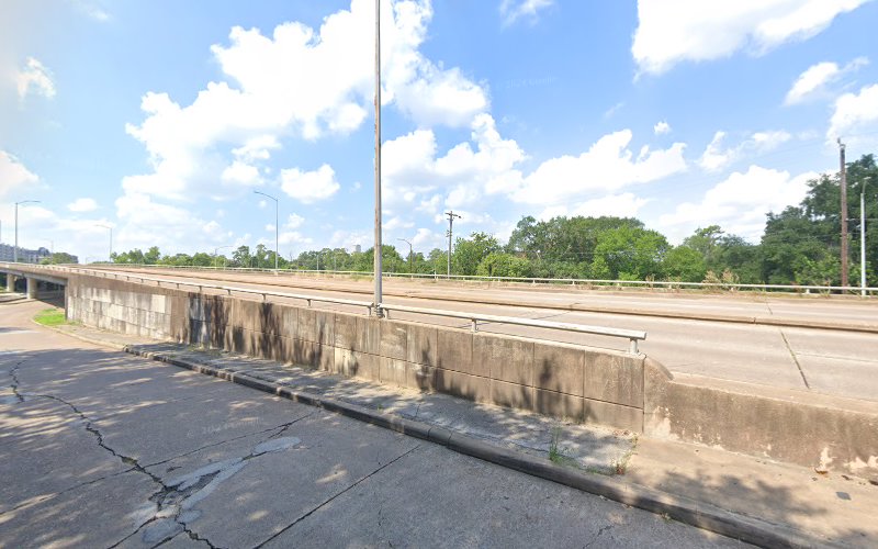 Mold Removal Company - Houston