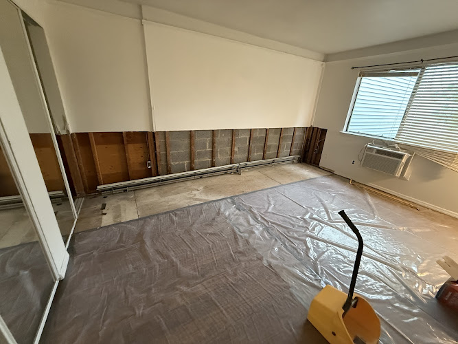 Green Guard Mold Remediation NYC