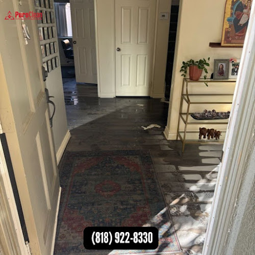 PuroClean of San Fernando