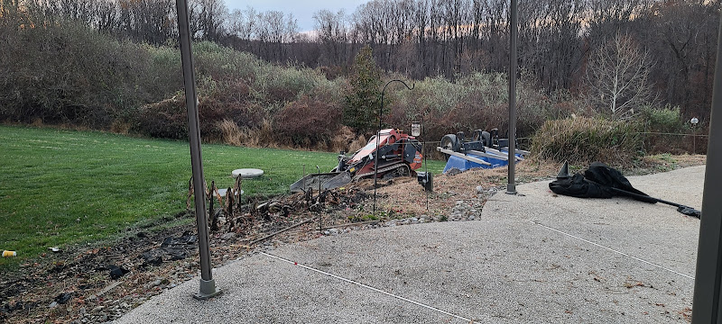 Raven Mold Remediation Services LLC