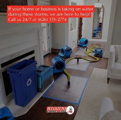 Higgins Carpet Care