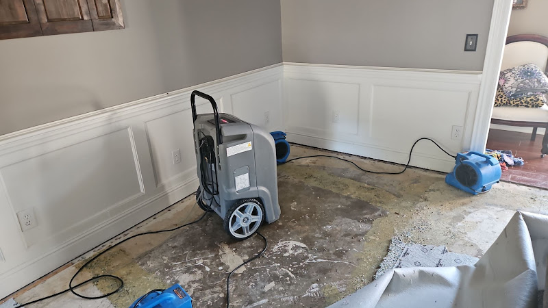 APEX RESTORATION DKI