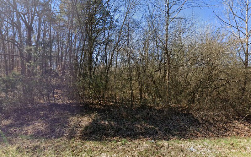 Property Solutions and Restoration