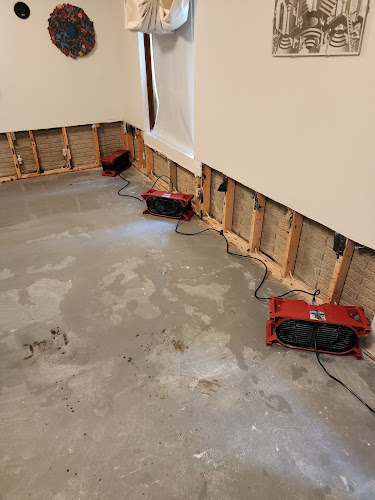 Omaha mitigation services