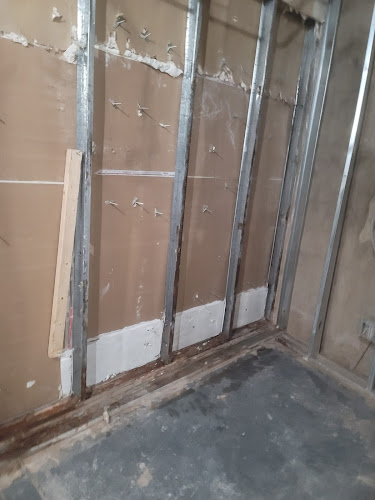 Baldwin Best Mold Removal