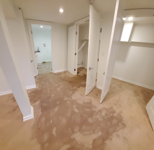 Dr Mold Removal Service