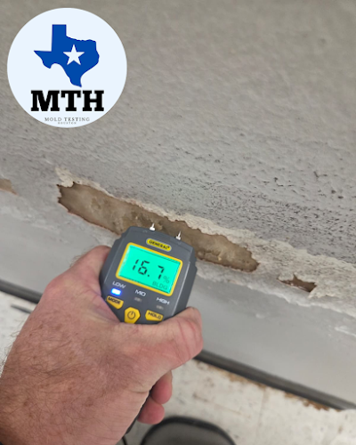 Mold Testing Houston- The Woodlands
