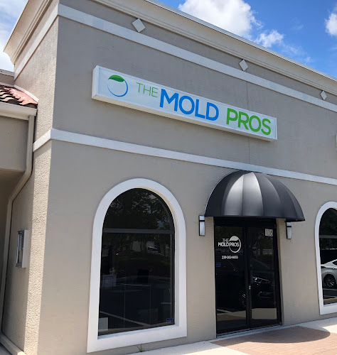 The Mold Pros of Florida