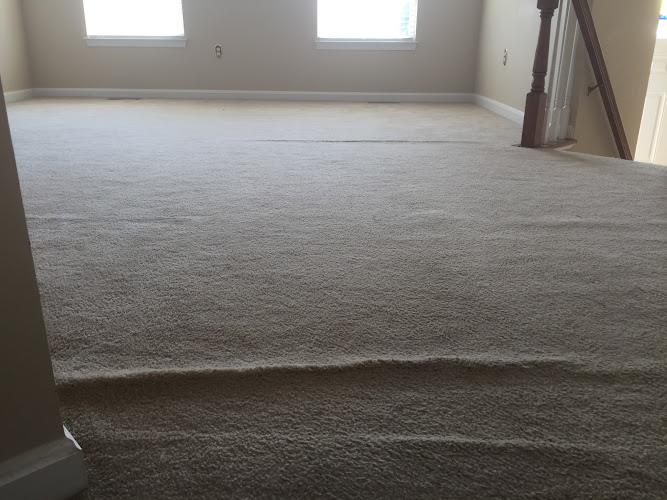 SteamLine carpet cleaning restoration
