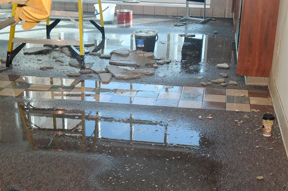 Metro Mold Inspection & Testing