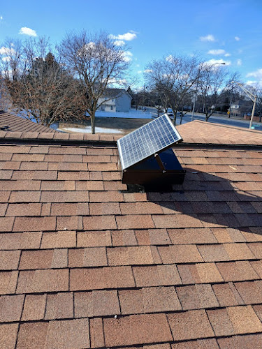 Green Attic Insulation