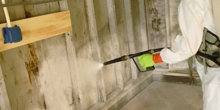 Trillo Mold Remediation