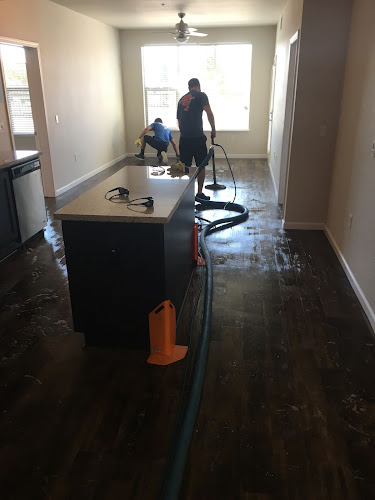 SPEEDDRY CARPET CLEANING