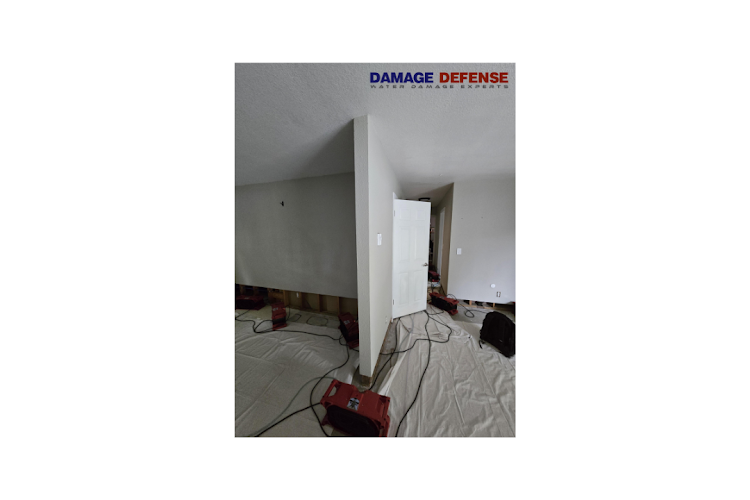 Damage Defense Restoration