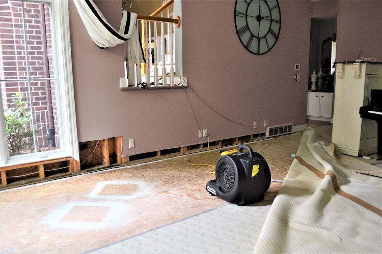 EcoDry Water Damage Restoration Houston