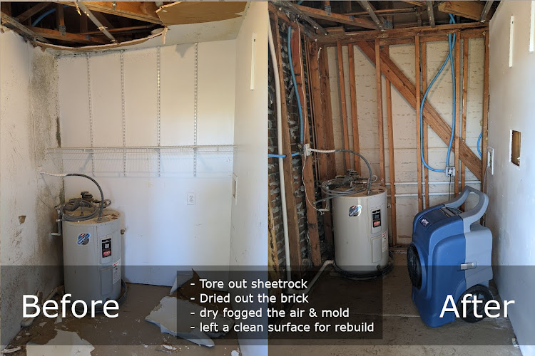 Pure Maintenance Mold Remediation