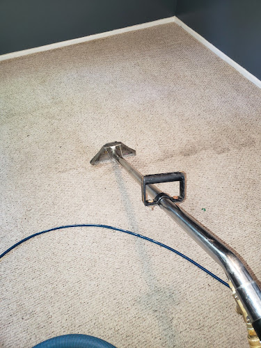 Cleveland steamer cleaning services