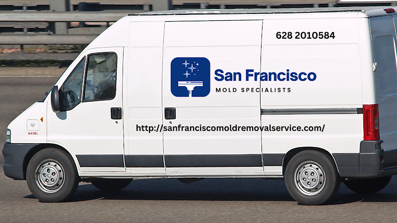 San Francisco Mold Specialists