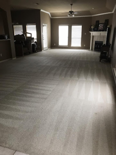 Pro-Fresh N' All Carpet Cleaning