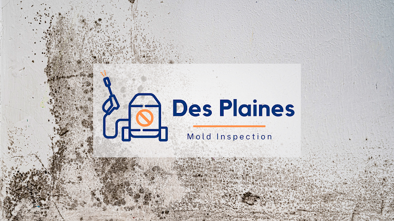 Des Plaines Mold Inspection