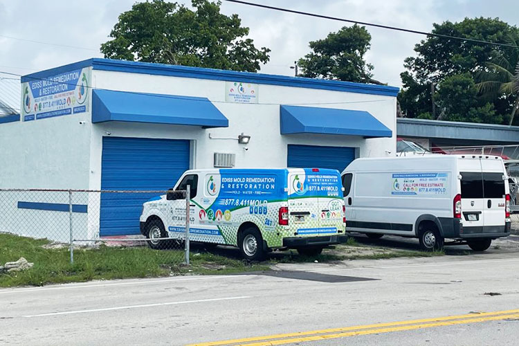 Ediss Mold Remediation