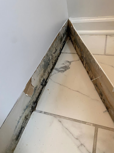 Mark The Inspector - Mold Removal