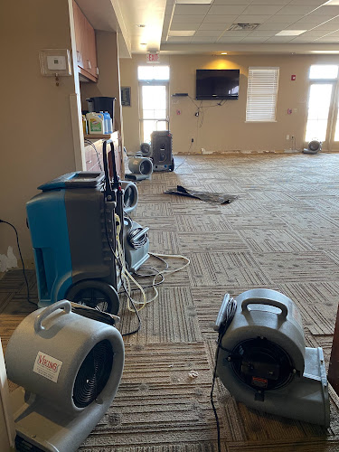 BISON Restoration Services