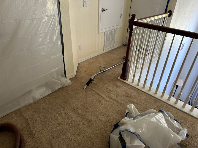 Homosassa Mold Removal Services
