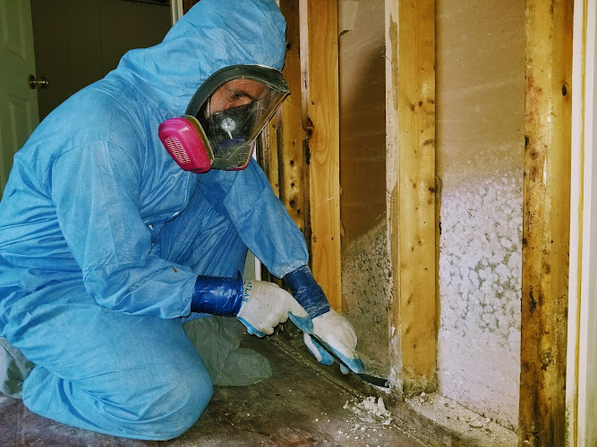 Core24 Services: Water Damage & Mold Restoration - DE