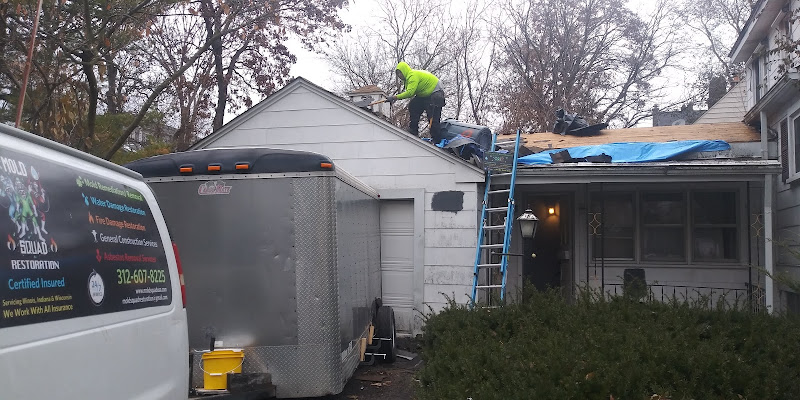 Mold Squad Restoration & Contracting, LLC