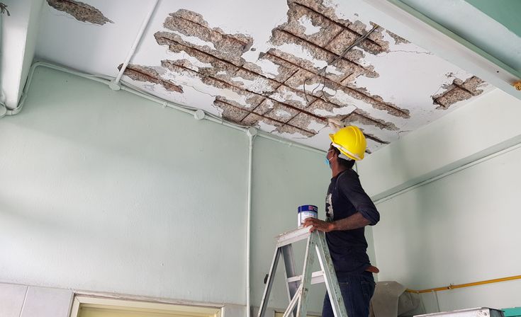 Elite Hollywood Water Damage Experts