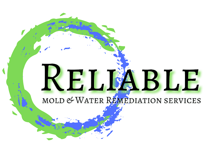 Reliable Mold and Water Remediation Services