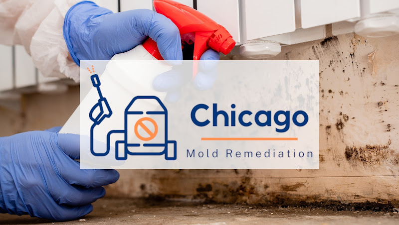 Chicago Mold Remediation