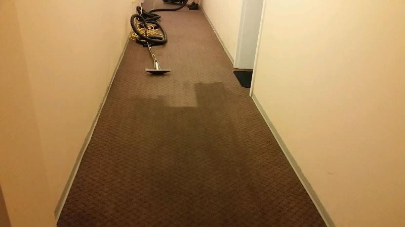 Brighter Tomorrows Carpet Cleaning
