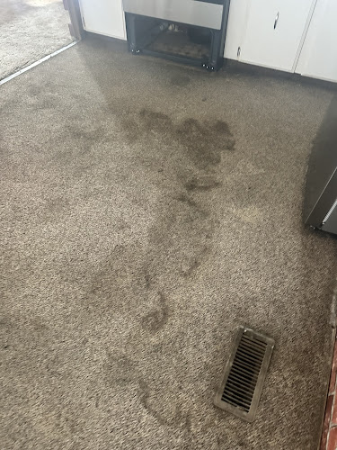 Mr Steam Carpet Clean