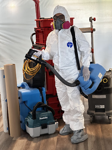 Nexus Mold Inspections