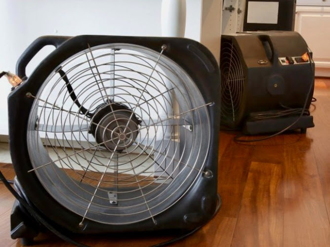 Spotless Flood Restoration