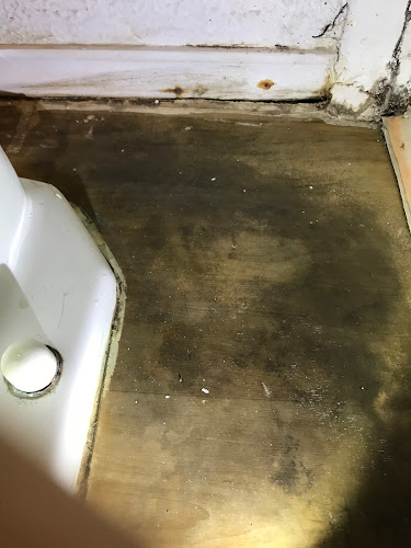 Reliant Mold Testing