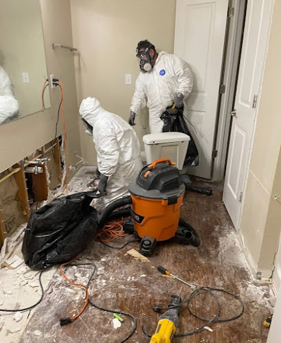 GETAMOLDINSPECTION.COM