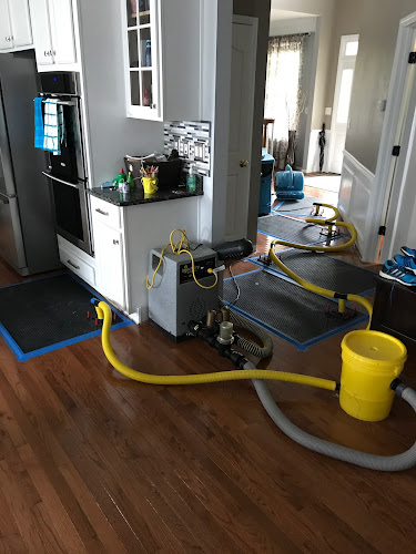 COIT Cleaning and Restoration